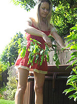 naughty tinkerbell free picture sample
